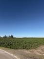 16508 Clovis Avenue - Photo 12