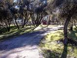 45483 Sand Creek Road - Photo 5