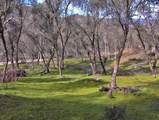 45483 Sand Creek Road - Photo 53