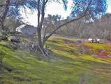 45483 Sand Creek Road - Photo 59
