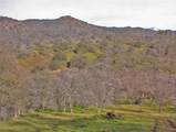 45483 Sand Creek Road - Photo 74