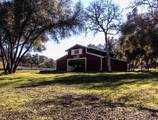 45483 Sand Creek Road - Photo 8