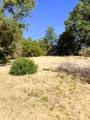 37969 Road 422 - Photo 36