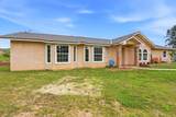 33264 Puma Lane - Photo 4