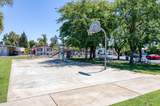 336 Alluvial Avenue - Photo 28