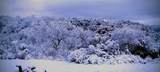 46771 Dunlap Road - Photo 40