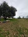 47233 Todd Eymann Road - Photo 21