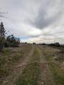47233 Todd Eymann Road - Photo 23