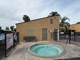 336 Alluvial Avenue - Photo 23