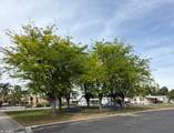 336 Alluvial Avenue - Photo 24