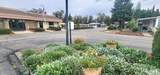 1300 Olson Avenue - Photo 37
