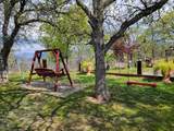 33323 Buttercup Lane - Photo 15