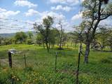 33323 Buttercup Lane - Photo 23