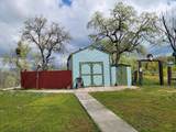 33323 Buttercup Lane - Photo 35