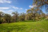 49980 Daffodil Lane - Photo 25