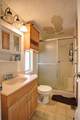 25433 Trimmer Springs - Photo 12