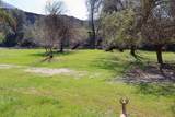 25433 Trimmer Springs - Photo 33