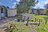 25433 Trimmer Springs - Photo 5