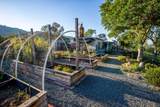35032 George Smith Road - Photo 28