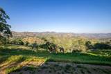 35032 George Smith Road - Photo 36