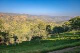 35032 George Smith Road - Photo 39