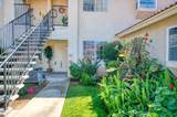 1542 Alluvial Avenue - Photo 1