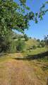 1248 Crane Lane - Photo 42
