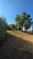 1248 Crane Lane - Photo 44