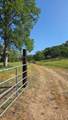 1248 Crane Lane - Photo 45