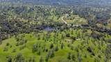 38289 Road 415 - Photo 10