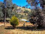 38152 Ruth Hill Road - Photo 10