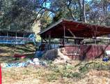 38152 Ruth Hill Road - Photo 6