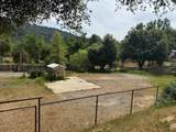 41045 Highway 41 - Photo 3