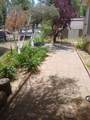 39678 Road 425B - Photo 1