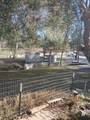39678 Road 425B - Photo 13