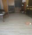 39678 Road 425B - Photo 30