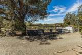 46232 Road 417 - Photo 31