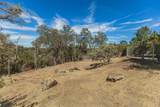 46232 Road 417 - Photo 38