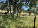 50652-50640 Road 200 - Photo 4