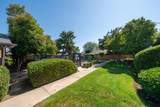 4849 7th Street - Photo 6