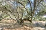 43867 Trabuco Court - Photo 8