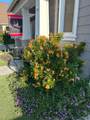 43 Bohemia Lane - Photo 26