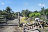 3804 Owl Creek Road - Photo 6