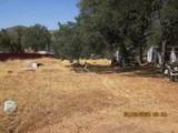 37033 Mistletoe Road - Photo 3