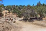 32791 Road 416 - Photo 25