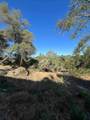 45990 Hawk Lane - Photo 2