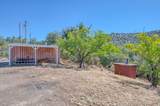33298 Wahoo Ln - Photo 20