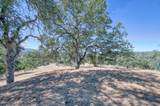 33298 Wahoo Ln - Photo 24