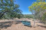 33298 Wahoo Ln - Photo 25