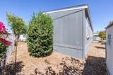 336 Alluvial Avenue - Photo 5